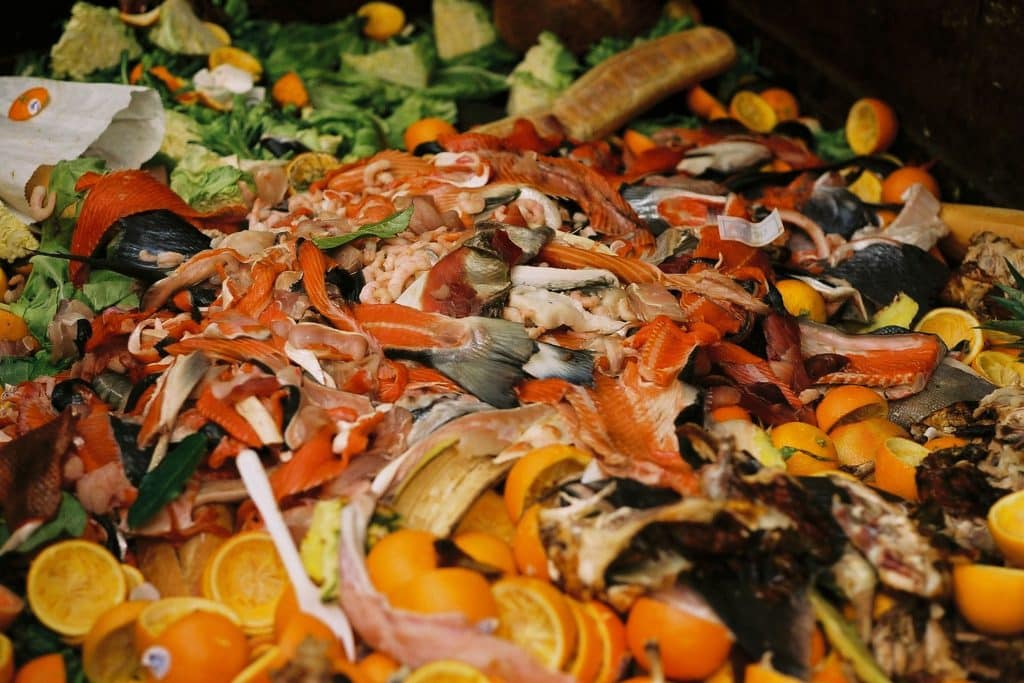 Food Waste Solution Contest by Refresh