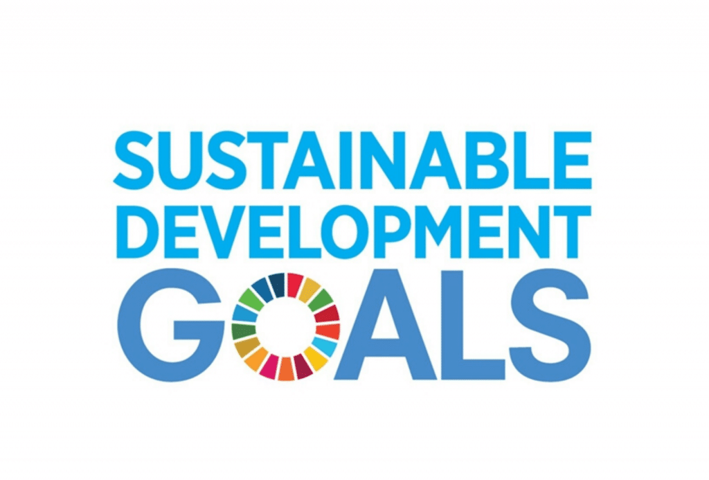 Sustanaible Development Goals (SDG)