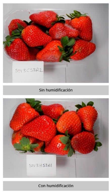 Comparación efectos con y sin humidificación ultrasónica