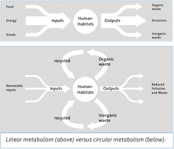 Metabolismo lineal (arriba) frente al metabolismo circular (abajo).