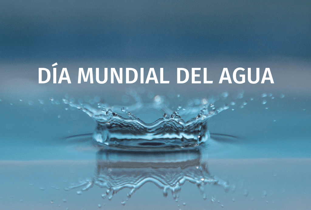 Dia Mundial Agua