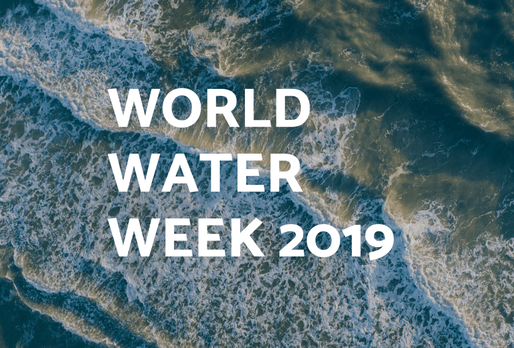 World Water Week