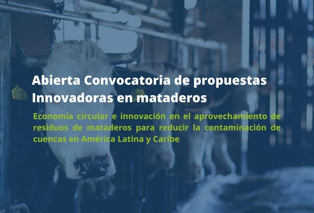 Abierta convocatoria innovaciones en sector matadero ALC